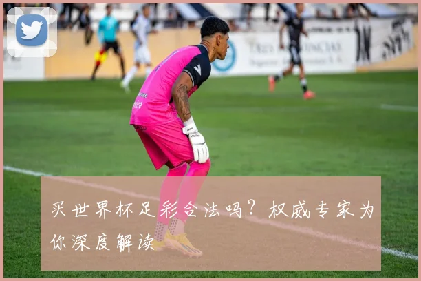 买世界杯足彩合法吗？权威专家为你深度解读